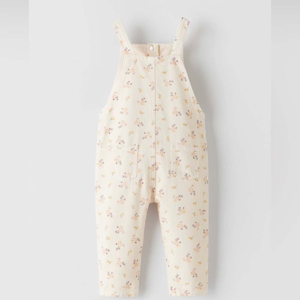 Zara 4/5 Floral Overalls